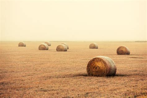 Bales In The Fog Photograph By Todd Klassy Fine Art America