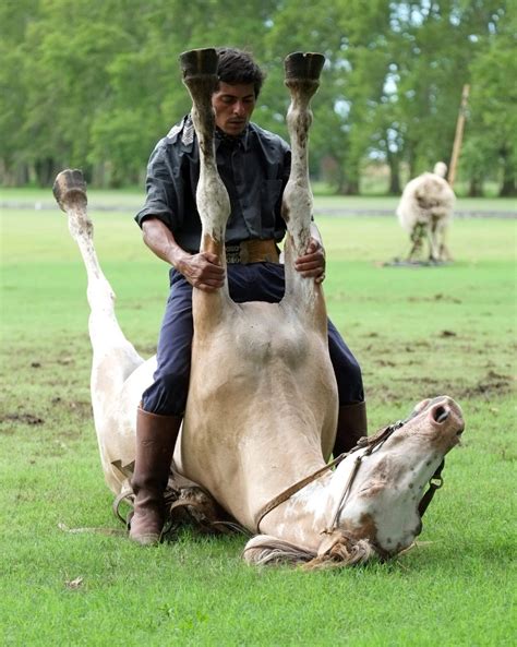 Argentine Man Pushes Horse Whispering To New Level