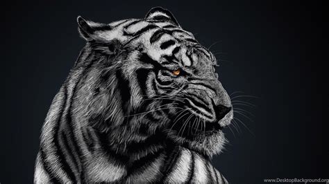 Tiger Wallpaper 4k Black Ex Wallpaper