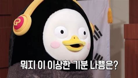 ^ <연합인터뷰> sbs 새 주말극 '그 여름의 태풍' 정다빈. 주간디시 태풍이 할퀸 후