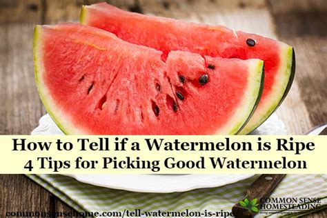 How To Tell Watermelon Is Ripe 4 Tips For Picking Good Watermelon