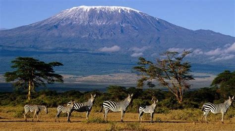 Climbing Kilimanjaro 6 Day Machame Route By Dahlia Africa Bookmundi