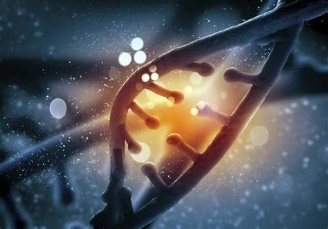 Genetic Vs Genomic Testing Southern California Center For Anti Aging