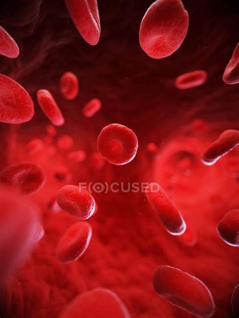 Red Blood Cells — Computer Hematology Stock Photo 160169658