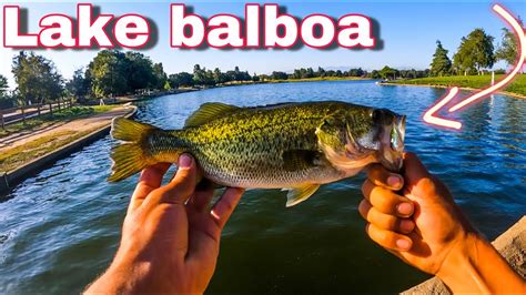 Lake Balboa Bass Fishing Finesse Youtube