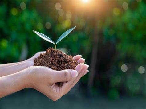 This is the generation that can make peace with nature. World Environment Day 2020: Know the Theme, Significance ...