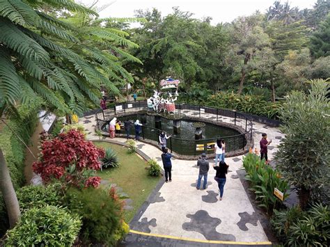 Wisata Cimory Di Semarang Paling Memukau | Gerai News