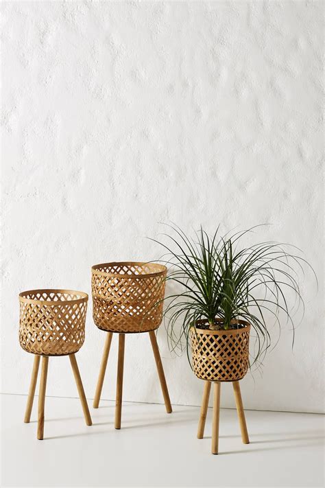 Bamboo Plant Stands Set Of 3 Anthropologie Bamboo Decor Bamboo