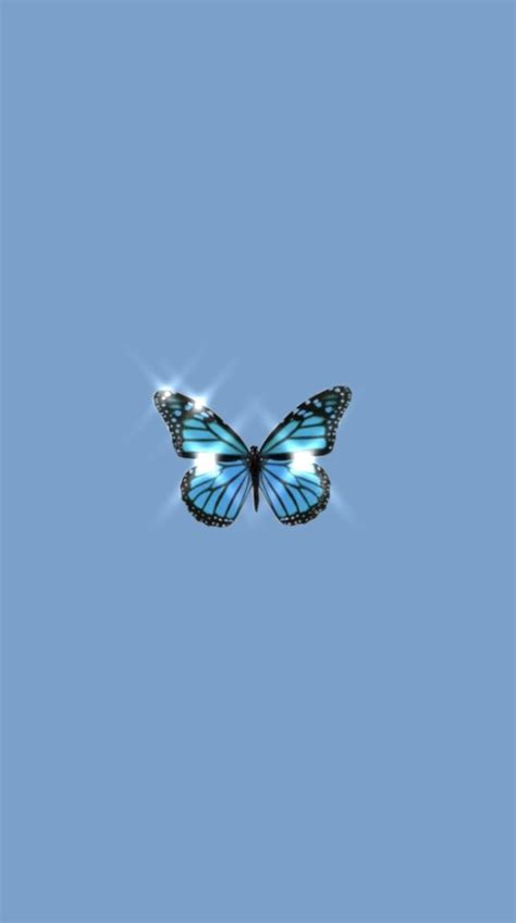 Background Wallpaper Blue Butterfly Aesthetic Tourolouco