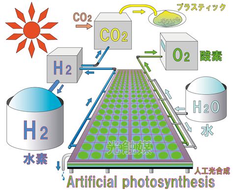 人工光合成とは？仕組み・メリット・今後の課題をわかりやすく解説！ 株式会社菅製作所