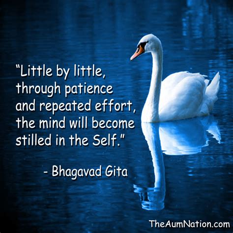 Little By Little Through Patience And Repeated Effort The Mind Will