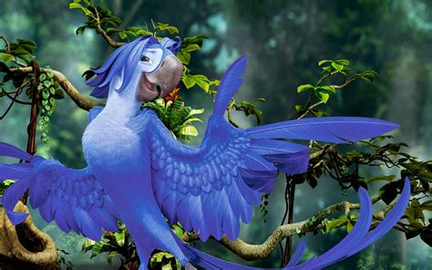 Best Rio 2 Wallpaper Collection For Kids Charming Collection Of
