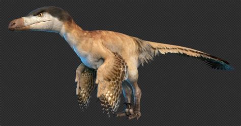 Velociraptor Prehistoric Animals My Island