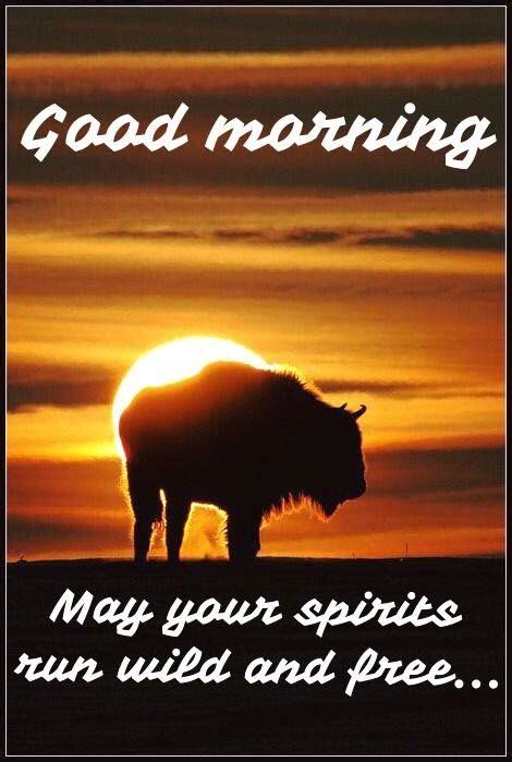 44 Best Native Good Morning Qoutes Images On Pinterest Native