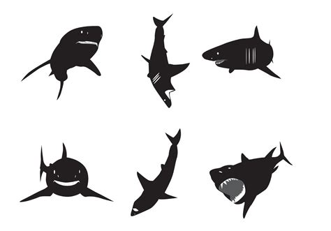 Vector Great White Shark Silhouettes 86661 Vector Art At Vecteezy