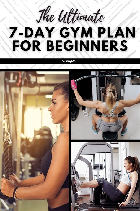 Beginners Gym Workout Plan Gym Workout Plan For Women Workout Plan