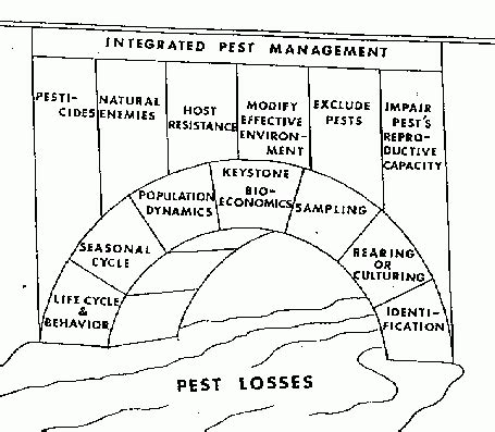 The decision to use an. Economic Thresholds and Economic Injury Levels | Radcliffe ...