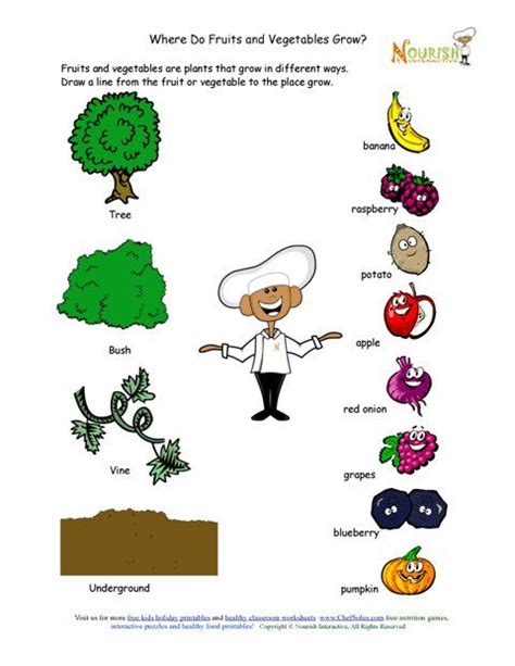 And the great thing about a fruit tree is that you can grow one even in the smallest of spaces. Where Do Fruits and Vegetables Grow Matching Worksheet ...
