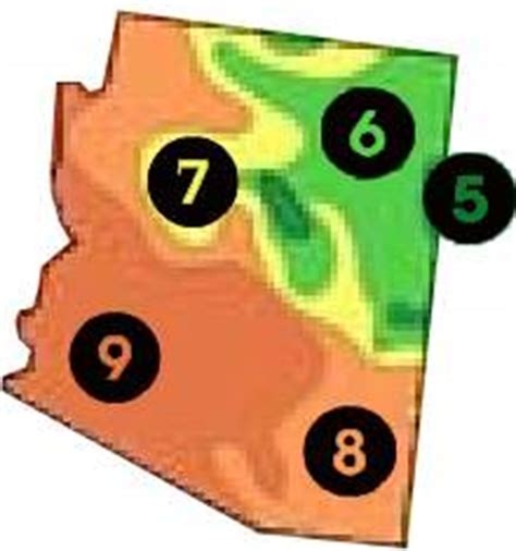 We've determined you're in growing zone #. Buy Arizona Trees | AZ Plants Sale | Best Arizona Fruit Tree