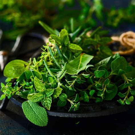 Herbal correspondences [ herbs are commonly used in magic. Herbs | Wiki | Wiccan Amino