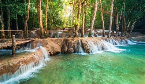 The Ultimate Guide To The Tat Kuang Si Falls Laos Rainforest Cruises
