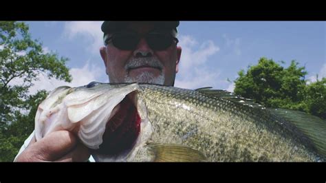 Lake fork the trophy bass fishing lake of texas, holds 15 of the top 20 texas state record largemouth bass. Pope's Landing Marina Lake Fork Texas - YouTube