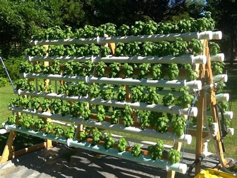 Learn the basics of vertical hydroponic gardening system by considering the different kinds of set up with a wide variety of plant selections. Build an Efficient A-Frame Hydroponic System! | Your ...