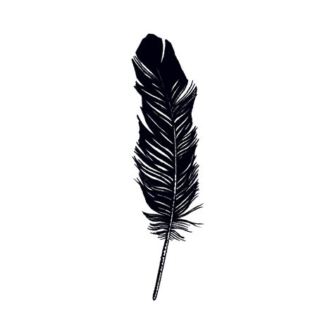 Feather | Feather tattoo, Feather, Tattoos