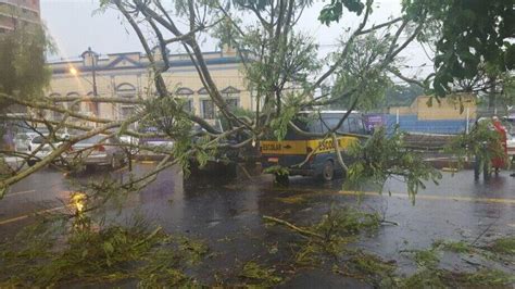 Depois Do Forte Calor Chuva Derruba Rvore Sobre Carro E Destelha Casas