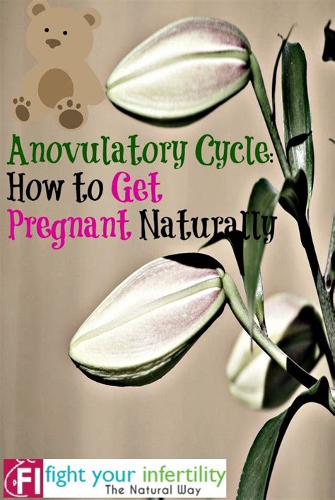 Anovulatory Cycle How To Get Pregnant Naturally Fight Your Infertility