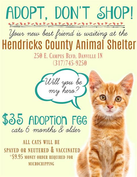 Learn what life might be like during the first month. Adoption Event / Hendricks County, IN