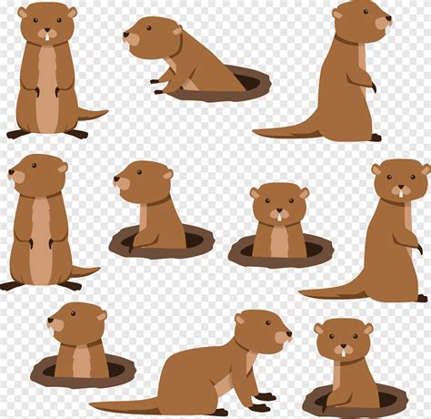 Flat Gopher Collection Png Pngegg