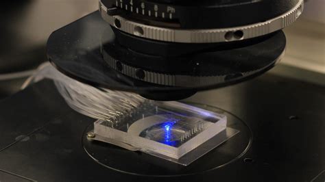 Using Microfluidics To Peer Deeper Into The Structure Of Our Genome