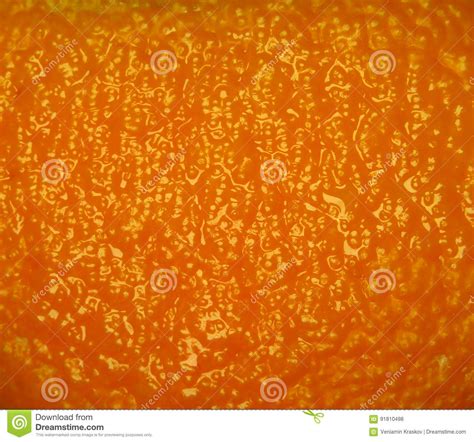Orange Peel Texture Background Stock Photo Image Of Color Healthy