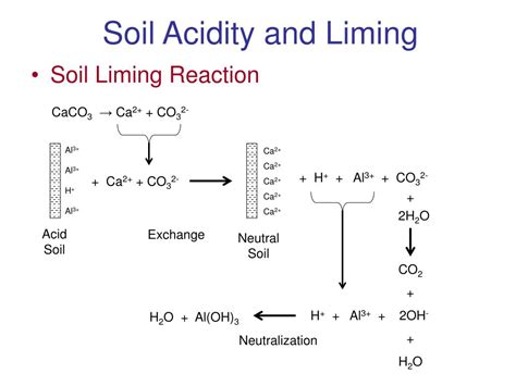 Ppt Soil Acidity Powerpoint Presentation Free Download Id1705078
