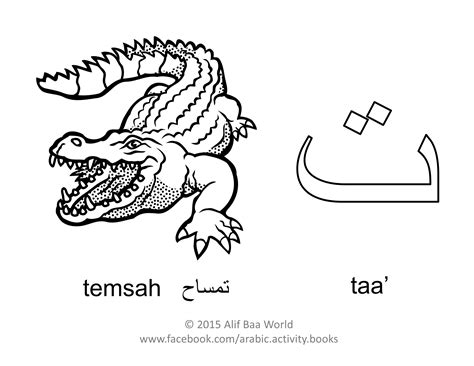 the third letter of the arabic alphabet is t name taa sound t