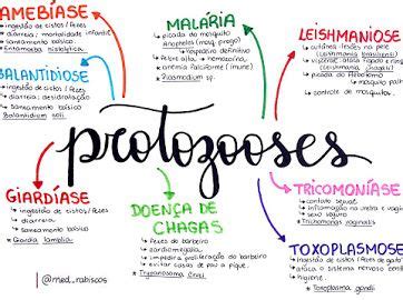 Biologia Google Drive Parasitologia Planos De Estudo Enem Estudos Para O Enem