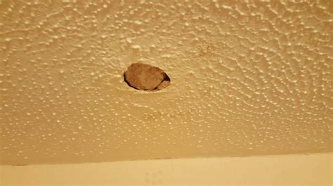 Learn how the pros repair a large hole in the ceiling & do it yourself, with confidence. www.ultimatehandyman.co.uk • View topic - Repair hole in ...