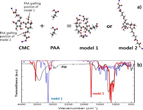 A Considered Models Of Cmc G Paa And B Ft Ir Spectroscopy Data My Xxx