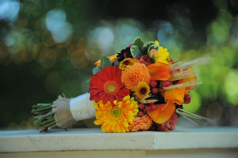 Online flower arrangements offering a wide selection of fresh flowers & roses for the perfect flower delivery. Autumn bouquet of gerbera daisies, flame calla lilies ...
