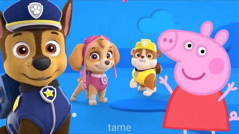 2021january 15th Upcoming Episodes Of Paw Patrol And Other Cartoons