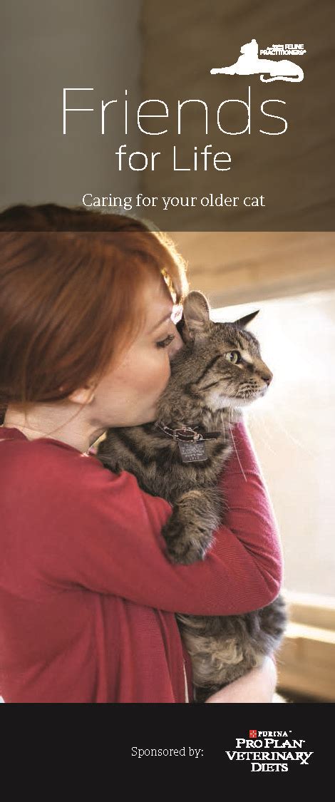 Cat Owner Brochures American Association Of Feline Practitioners