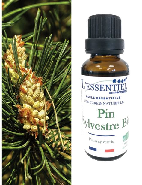 Huile Essentielle De Pin Sylvestre Bio Lessentiel En Provence