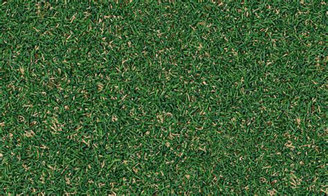 Seamless Grass Texture Map