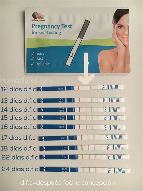 En Cuantos Dias Se Puede Hacer El Test De Embarazo Cheap 47 OFF