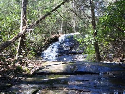 Top 5 Hikes In Blue Ridge Official Georgia Tourism And Travel Website