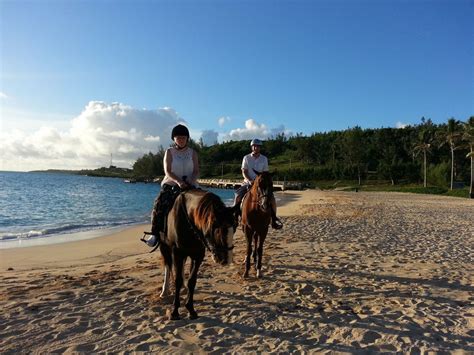 Bermuda horseback riding | Horseback riding, Trail riding, Riding