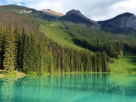 Beautiful Emerald Lake Near Alberta In Field Bc Gorgeous Setting With