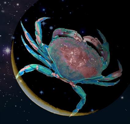 This is particularly hard for those who are slightly unstable as the pull that the moon exerts on the tides are also felt in the brain fluids, making the effects of mental illness more enhanced. New Moon in Cancer Astrological Ceremony Daykeeper Journal ...