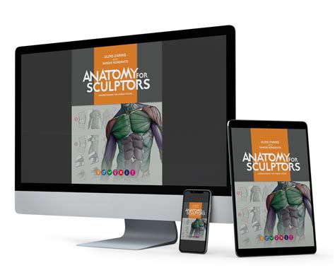 Anatomy For Sculptors Anatomy Book Series For Artists Human Anatomy